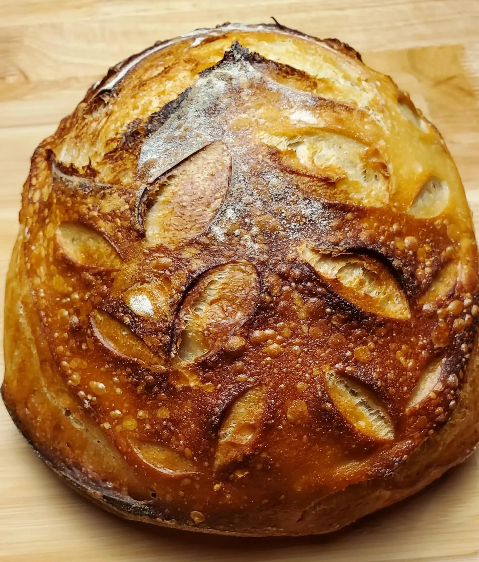 This picture depicts a boule of sourdough bread. It shows the results of follow the recipe on this page. The boule is golden brown with a nice crust.