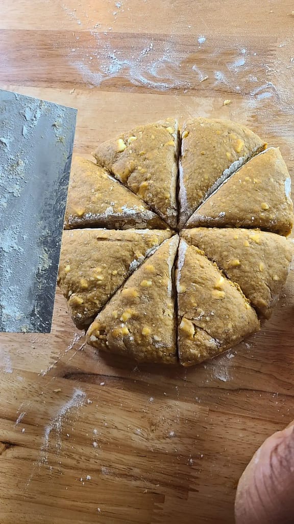 This image demonstrates how to cut pumpkin scones. They are cut into 8 roughly equal pieces.