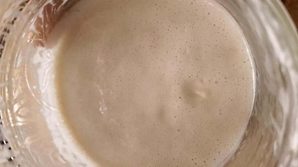 This image depicts a jar of sourdough discard inside a mason jar. You can see visible yeast on top of discard.