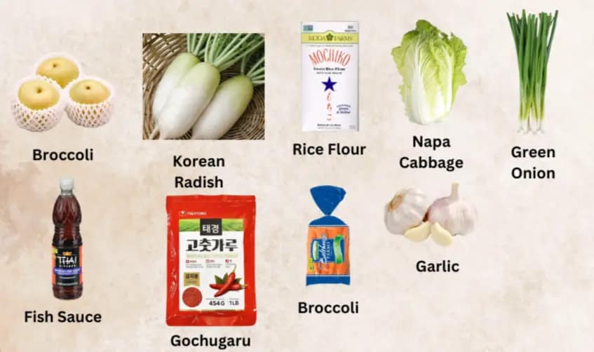 Kimchi Ingredients - Leslie Cooks Gamefoodie