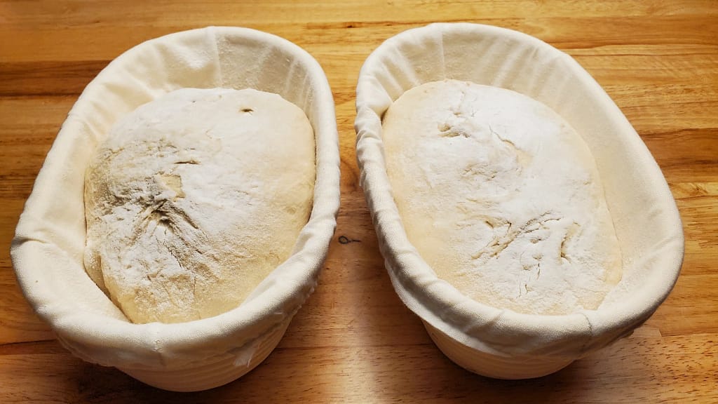 This image depicts sourdough bread in proof baskets.