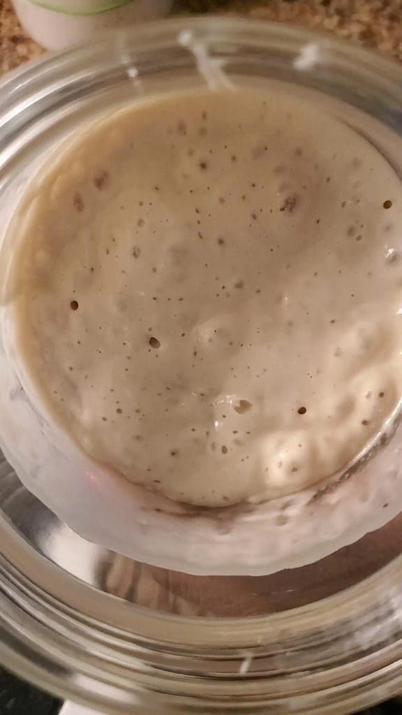 This picture depicts a view of bubbly sourdough starter.